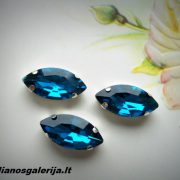 DSCN5999