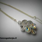 DSCN6526