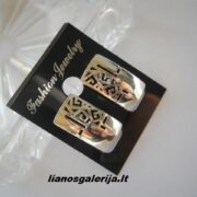 DSCN6868