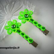DSCN7068