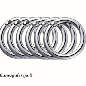 sidabro spalvos užsegimas- žiedas